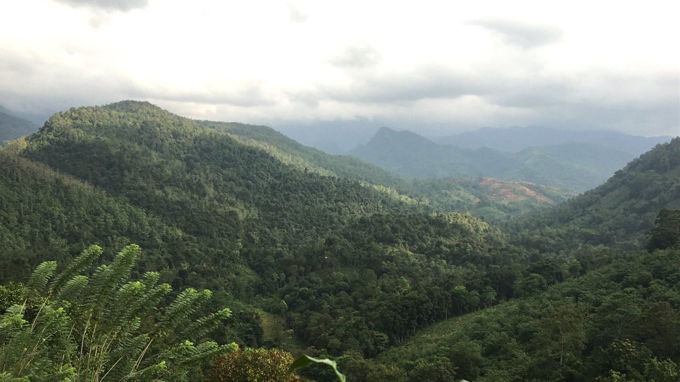Highlands in Sri Lanka
